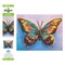 Diamond Art By Leisure Arts Watercolor Butterfly, 14"X11", Intermediate Diamond Painting Kits For Adults, Art For Adults, Kit, Painting